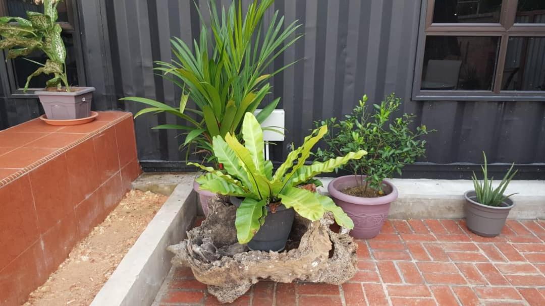 Homestay Umbai Kelana Merlimau エクステリア 写真