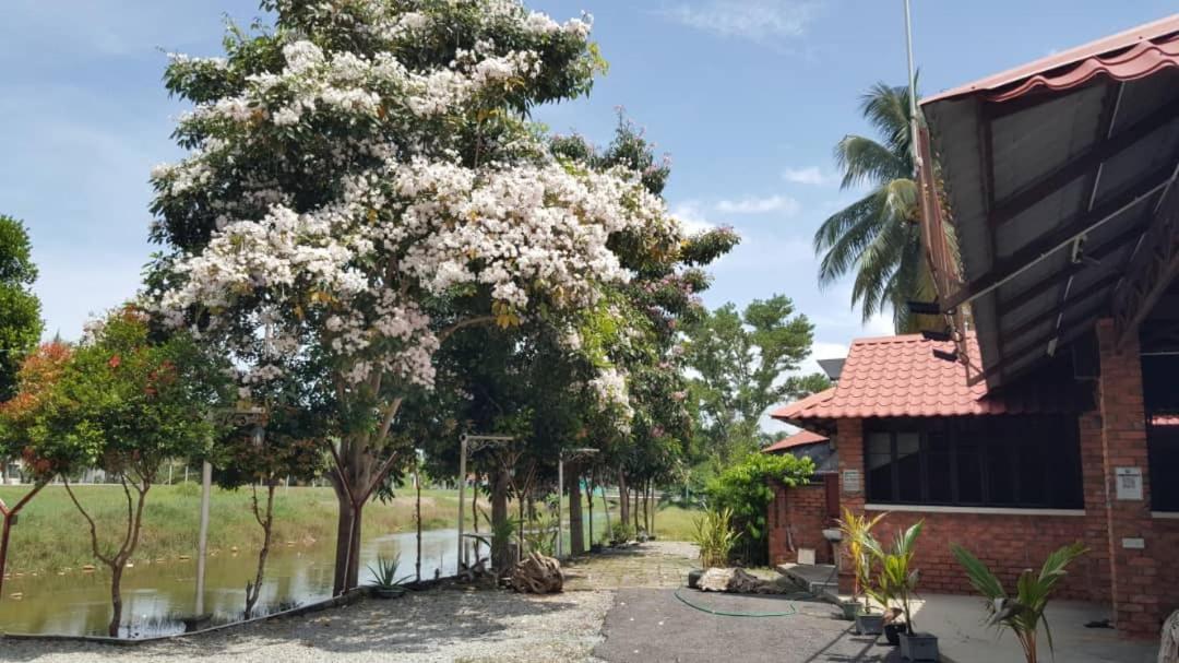 Homestay Umbai Kelana Merlimau エクステリア 写真
